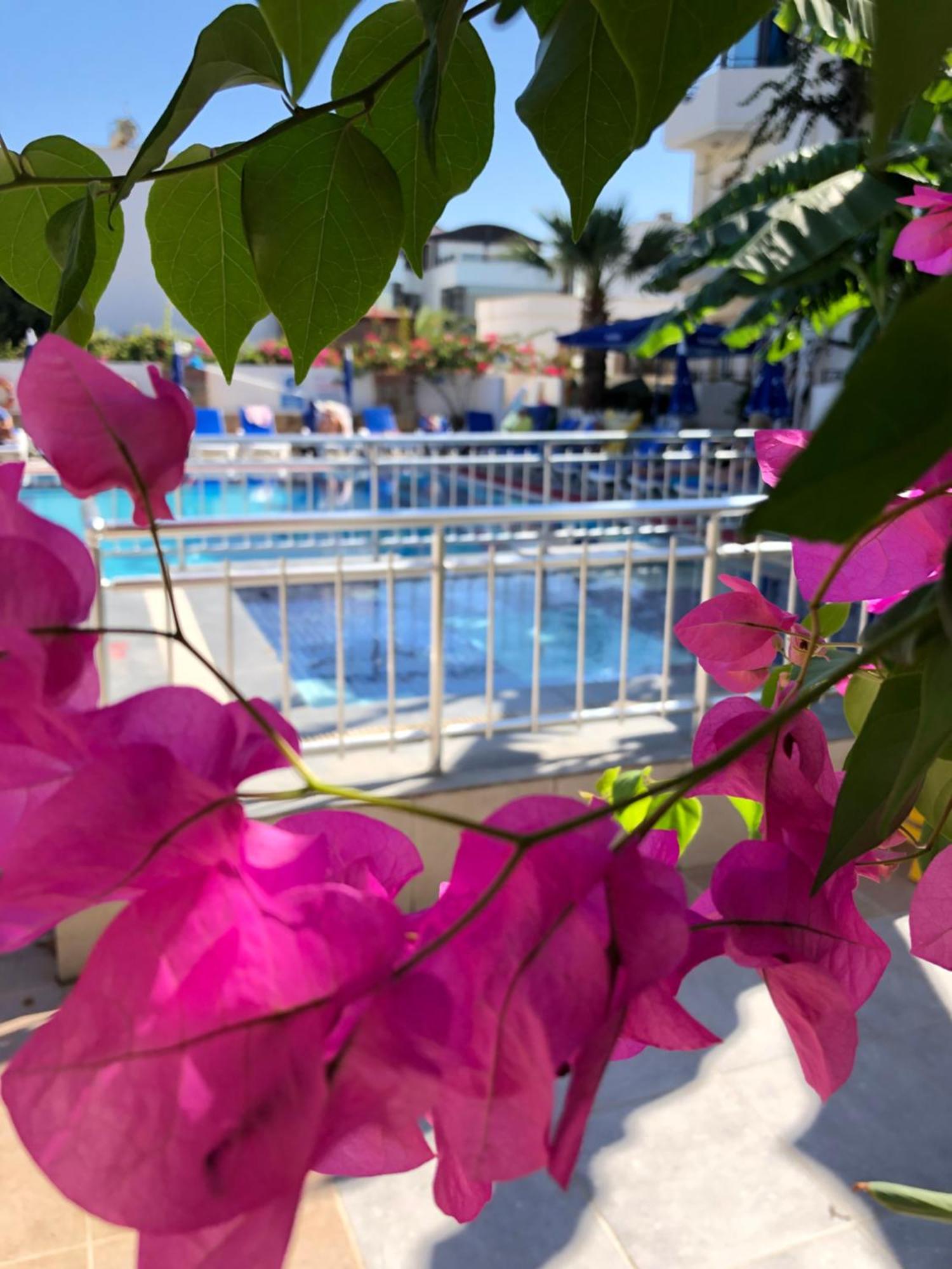 Palmiye Apart Otel Bodrum Zewnętrze zdjęcie